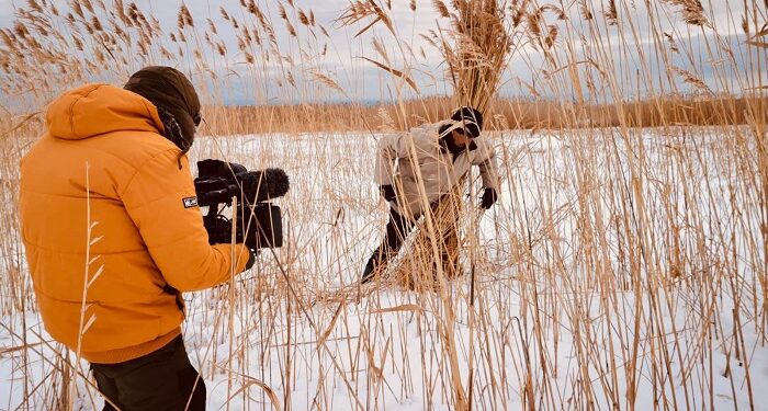 WILD DANUBE, documentarul care surprinde Delta Dunării în toate cele patru anotimpuri