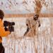 WILD DANUBE, documentarul care surprinde Delta Dunării în toate cele patru anotimpuri