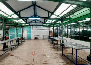 Cumpărați miel românesc! Vezi piețele din Constanța unde sunt producătorii locali