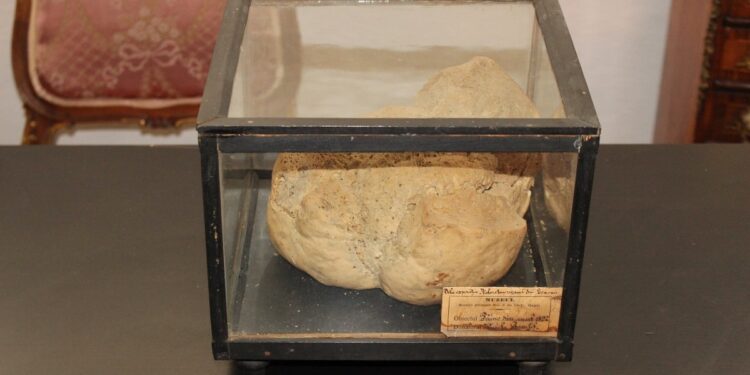 PMN: Cea mai veche pâine din lume, ”Pâinea de la Genova”, din 1892, expusă la Galați!