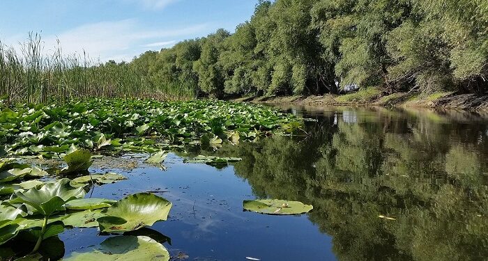 Cel mai mare proiect de decolmatare a canalelor și lacurilor Deltei, lansat la Crișan