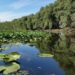Cel mai mare proiect de decolmatare a canalelor și lacurilor Deltei, lansat la Crișan