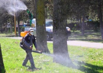 MEDGIDIA: A patra etapă a campaniei de dezinsecție în municipiul Medgidia și în zonele limitrofe