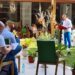 CETĂȚEANUL COMAN: Mohammad Murad face treaba autorităților lui Pește ales și prăjit