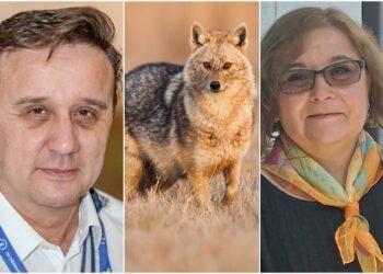 Contre pe șacalii din Deltă între Cătălin Țibuleac (AMDTDD) și Atena Groza (ARBDD)