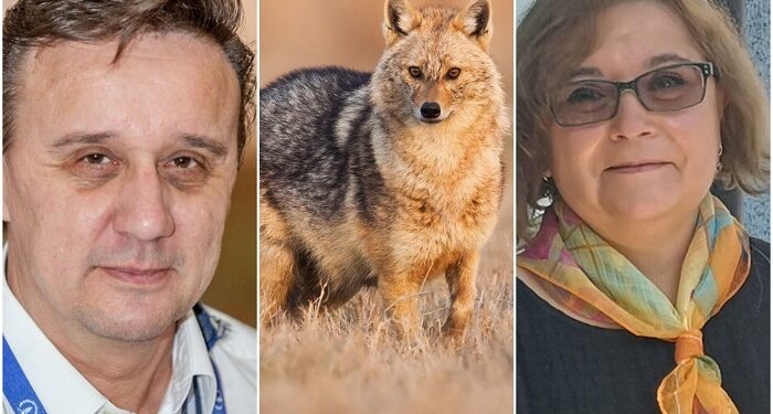 Contre pe șacalii din Deltă între Cătălin Țibuleac (AMDTDD) și Atena Groza (ARBDD)