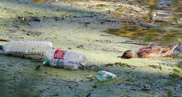 Coca-Cola, Pepsi și Unilever, cei mai mari trei poluatori cu plastic ai lumii