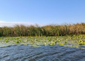 Dezbatere și set de măsuri asumate pentru îmbunătățirea turismului din Delta Dunării