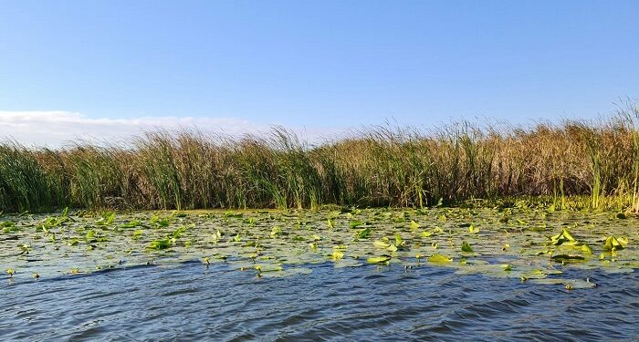 Dezbatere și set de măsuri asumate pentru îmbunătățirea turismului din Delta Dunării