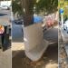 Polaris M Holding: Sacii cu gunoi nu au ce căuta lângă trunchiurile copacilor!