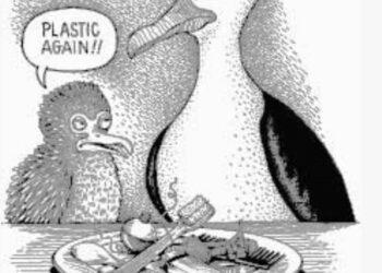 POLARIS M HOLDING: Poluarea cu plastic. Pașii corecți pentru un mediu  sănătos