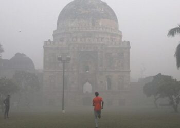 Munca la domiciliu permisă, din cauza poluării, în capitala Indiei