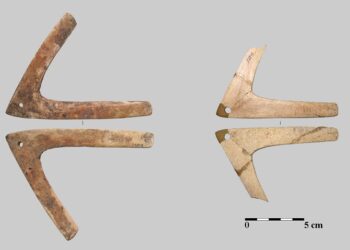 Poveștile Muzeelor: Bumerangurile de la Vitănești