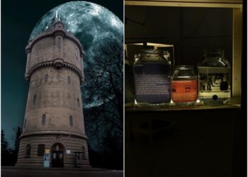 Castelul Artelor Drobeta Turnu-Severin lansează primul spațiu cultural colaborativ local