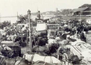 Diktatul de la Craiova: Cedarea sudului Dobrogei și evacuarea forțată a românilor