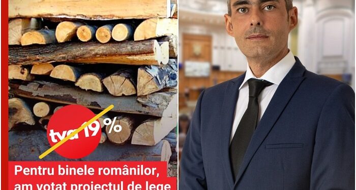 Lungoci (PSD): Am redus TVA de la 19% la 5% pentru lemnele de foc