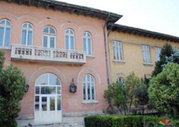 Vrabie solicită preluarea Muzeului Lucian Grigorescu de la Consiliul Județean în patrimoniul Medgidiei