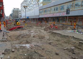 Alde Linge-Facebook și noroiul de pe Ștefan cel Mare