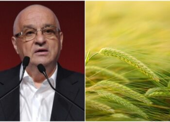 Felix Stroe: Statul va achita 50% din cheltuielile cu energia electrică, consumată pentru irigații