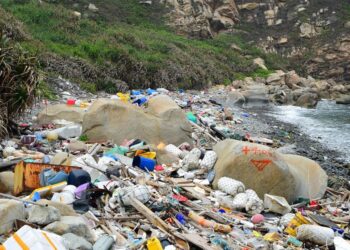 Statele Unite, cel mai mare poluator cu plastic