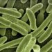Rezistența la antibiotice, soluționată de supercomputere