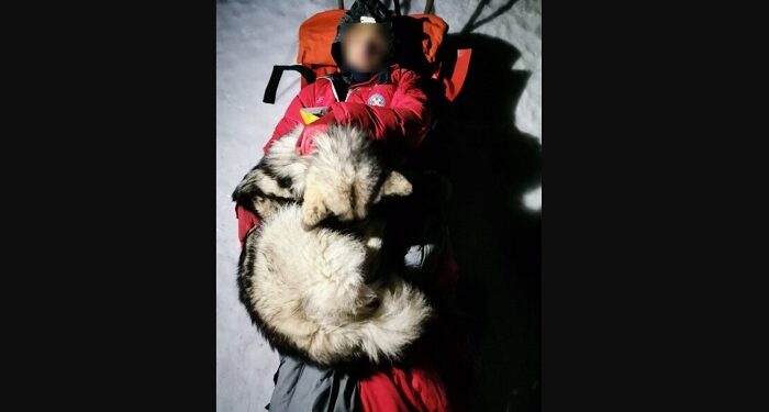 Un câine a salvat de la îngheț un excursionist accidentat