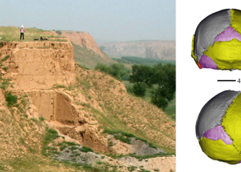 „Creier de Einstein”, descoperit la omul primitiv care a trăit în urmă cu 200.000 de ani