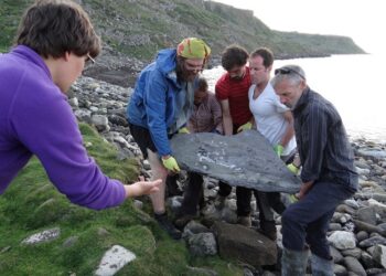 Maxilarul unei reptile zburătoare din Jurasic, descoperit în Scoția