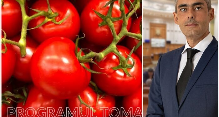 Lungoci (PSD): Ministerul Agriculturii a aprobat programele necesare pentru susținerea legumiculturii românești