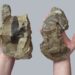 Specie de țestoasă din timpul dinozaurilor, descoperită în Transilvania