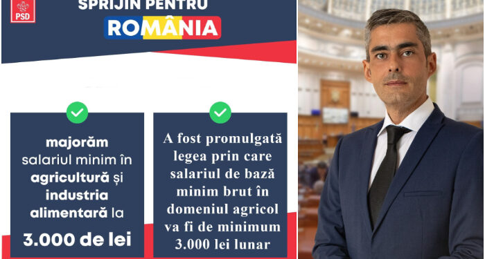 Lungoci (PSD): Supărare mare pe fermierii italieni! Nu mai are cine să le culeagă căpșunile…