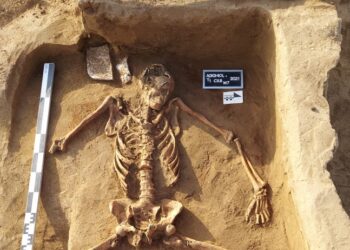 Opt înmormântări de inhumație descoperite în Movila Tăiată din Valea Nucarilor