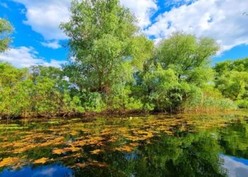 Când vii în Deltă, nu te sperii de ploaie: Mii de turiști în Deltă, de Rusalii