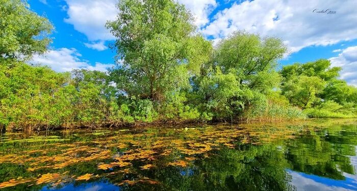 Când vii în Deltă, nu te sperii de ploaie: Mii de turiști în Deltă, de Rusalii
