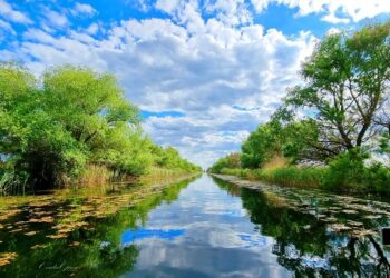 Avalanșă de rezervări în Delta Dunării, pentru minivacanța de Rusalii