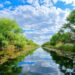 Avalanșă de rezervări în Delta Dunării, pentru minivacanța de Rusalii