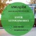 Polaris M Holding Mangalia angajează șofer autogunoieră