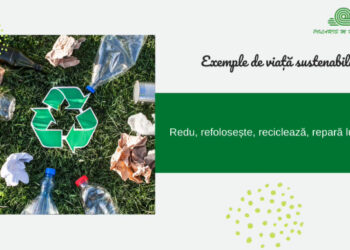 POLARIS M HOLDING: Despre cum să trăim fără să aducem prejudicii planetei