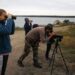 Maraton Ornitologic la Agigea, în paralel cu tradiționalul EuroBirdwatch – observarea păsărilor migratoare