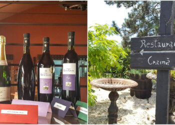 Domeniul Clos des Colombes se relansează în piața turismului de experiență