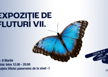 Expoziție de FLUTURI TROPICALI Vii la City Park Mall Constanța