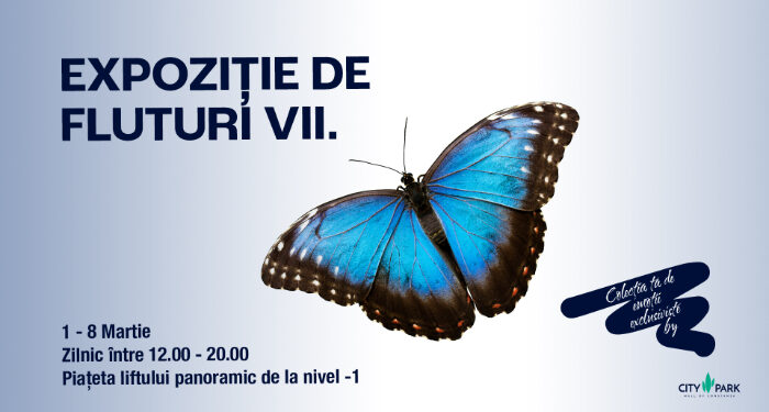 Expoziție de FLUTURI TROPICALI Vii la City Park Mall Constanța
