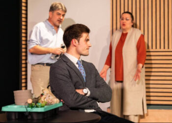 Încurcăturile trăznite ale dragostei sau cum, din stupid și confuz, vine pe scenă comedia