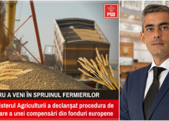 Lungoci (PSD): Fermierii români se află într-o situaţie extrem de delicată: au magaziile pline şi conturile goale!