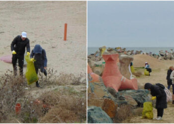 Plaja 3 Papuci, curățată de gunoaie de Liga Studenților din Universitatea Ovidius cu sprijinul Polaris M Holding