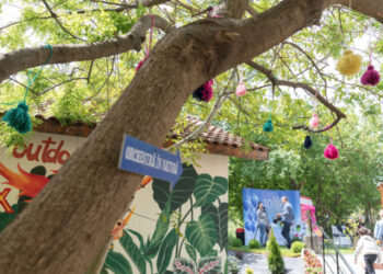 Trupa Cargo și Nicu Covaci, la inaugurarea școlii Outdoor “Phoenix” din cadrul Centrului Școlar “Albatros”