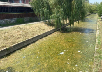 Scandalul canalului împuțit din Satul de Vacanță se stinge înainte să fie exploatat electoral