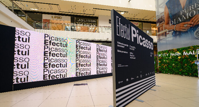 EFECTUL PICASSO din MARe – Muzeul de Artă Recentă se vede la City Park Mall și Librăria Cărturești