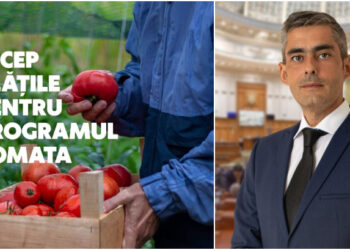 Lungoci (PSD): Încep plățile pentru Programul Tomata