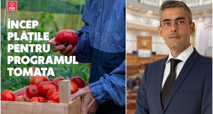 Lungoci (PSD): Încep plățile pentru Programul Tomata